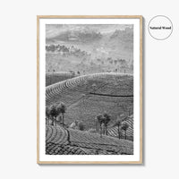 Munnar Black and White Fine Art Photo Print, Kerala India Tea Plantations Wall Poster