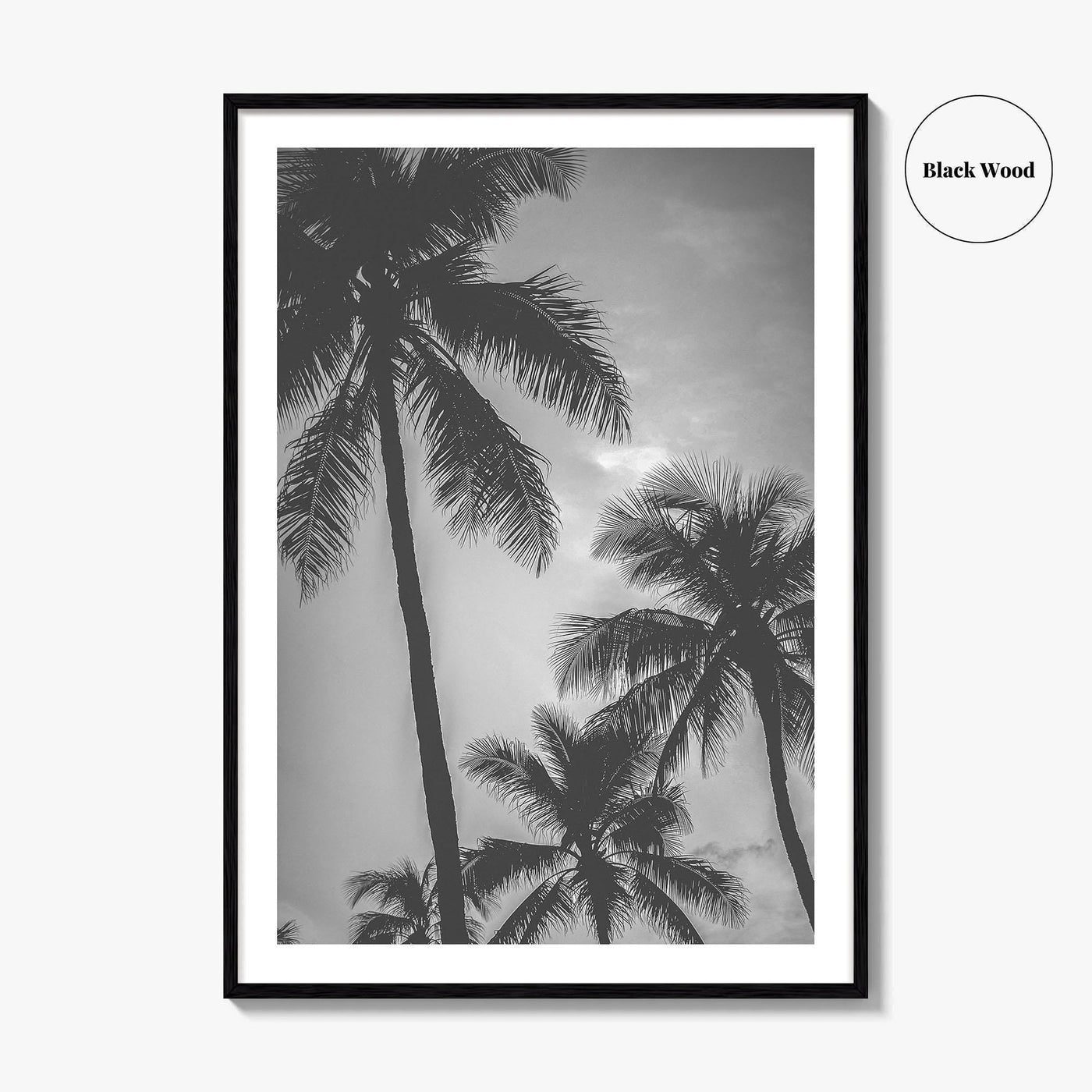 Hawaii Black and White Fine Art Photo Print, Palm Trees, Honolulu Oahu Art