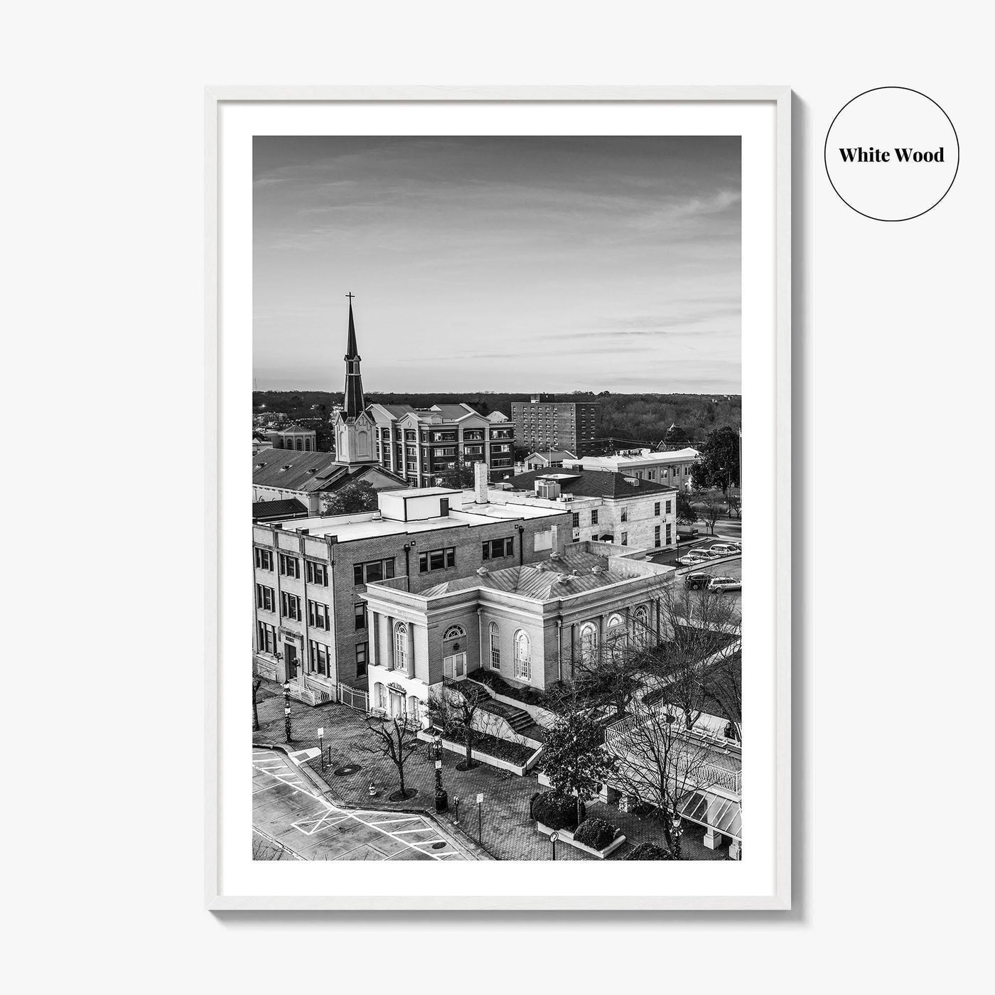 Athens Georgia Skyline Black and White Fine Art Photo Print, GA USA Poster