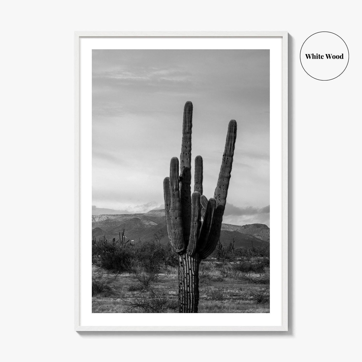 Phoenix Black and White Fine Art Photo Print, Arizona Saguaro Cactus Mountains, USA Poster