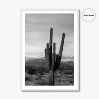 Phoenix Black and White Fine Art Photo Print, Arizona Saguaro Cactus Mountains, USA Poster