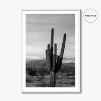 Phoenix Black and White Fine Art Photo Print, Arizona Saguaro Cactus Mountains, USA Poster