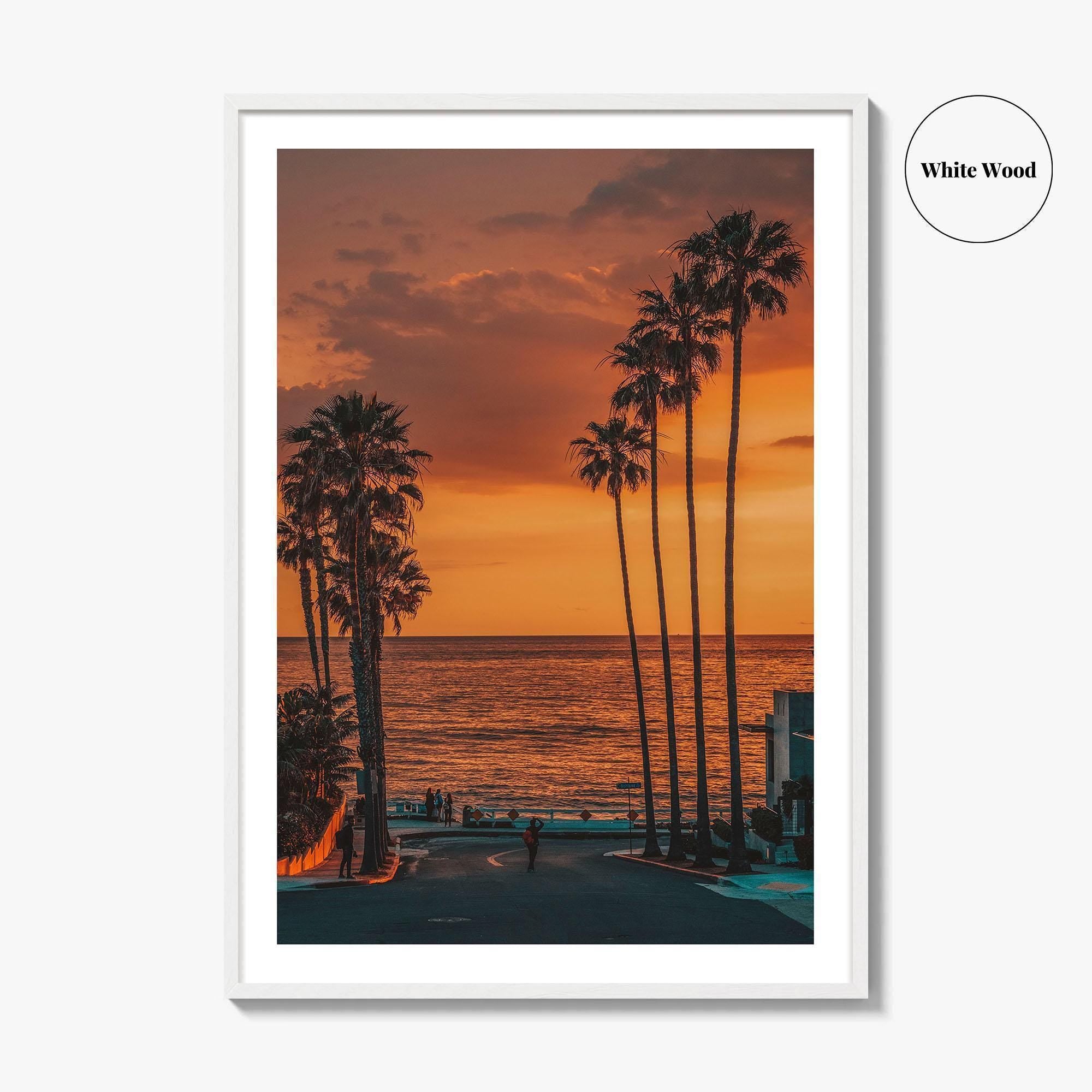 La Jolla Fine Art Photo Print, Windansea Beach, Palm Trees, San Diego California Poster