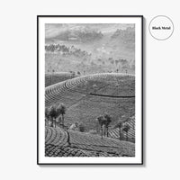 Munnar Black and White Fine Art Photo Print, Kerala India Tea Plantations Wall Poster