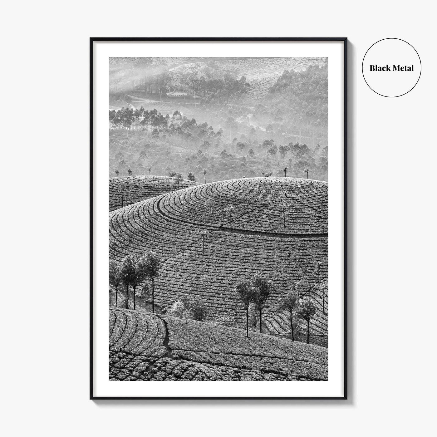 Munnar Black and White Fine Art Photo Print, Kerala India Tea Plantations Wall Poster