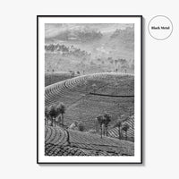 Munnar Black and White Fine Art Photo Print, Kerala India Tea Plantations Wall Poster