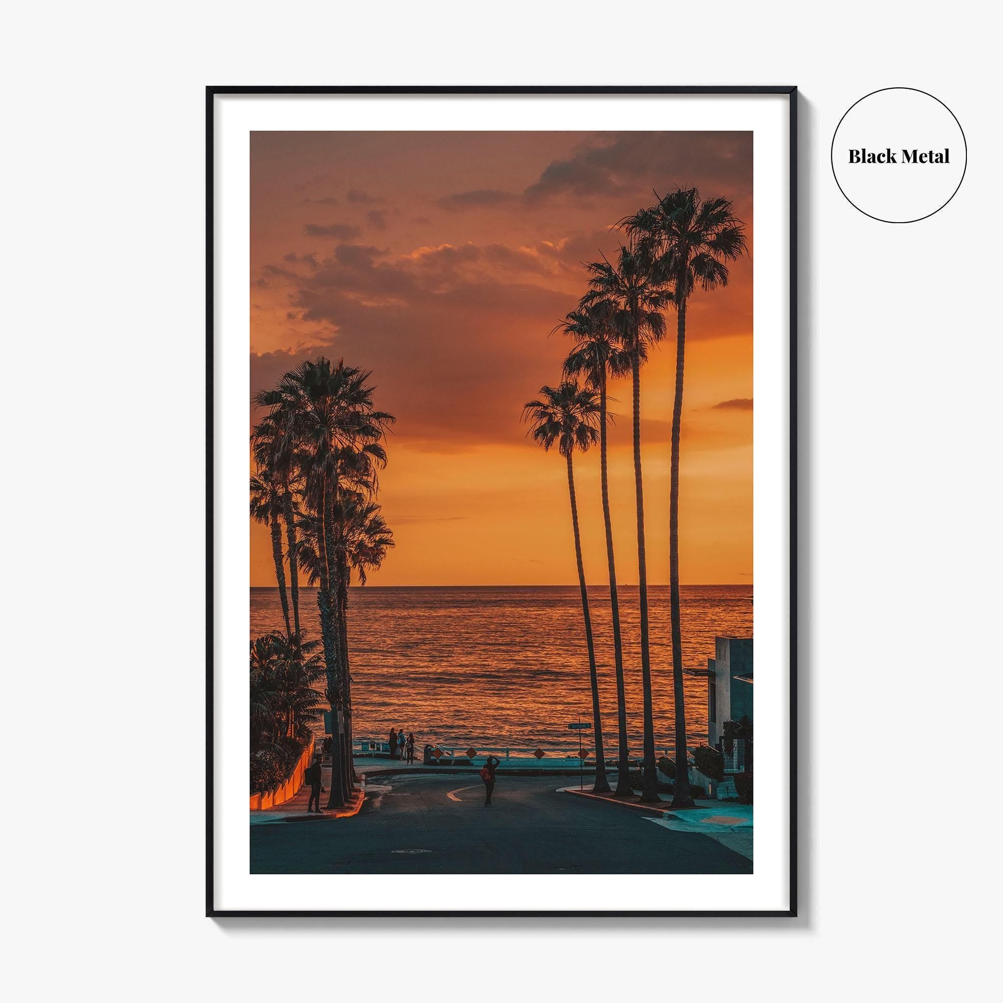 La Jolla Fine Art Photo Print, Windansea Beach, Palm Trees, San Diego California Poster