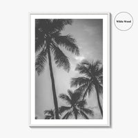 Hawaii Black and White Fine Art Photo Print, Palm Trees, Honolulu Oahu Art