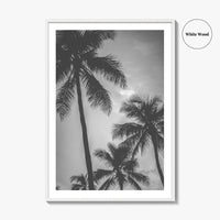 Hawaii Black and White Fine Art Photo Print, Palm Trees, Honolulu Oahu Art