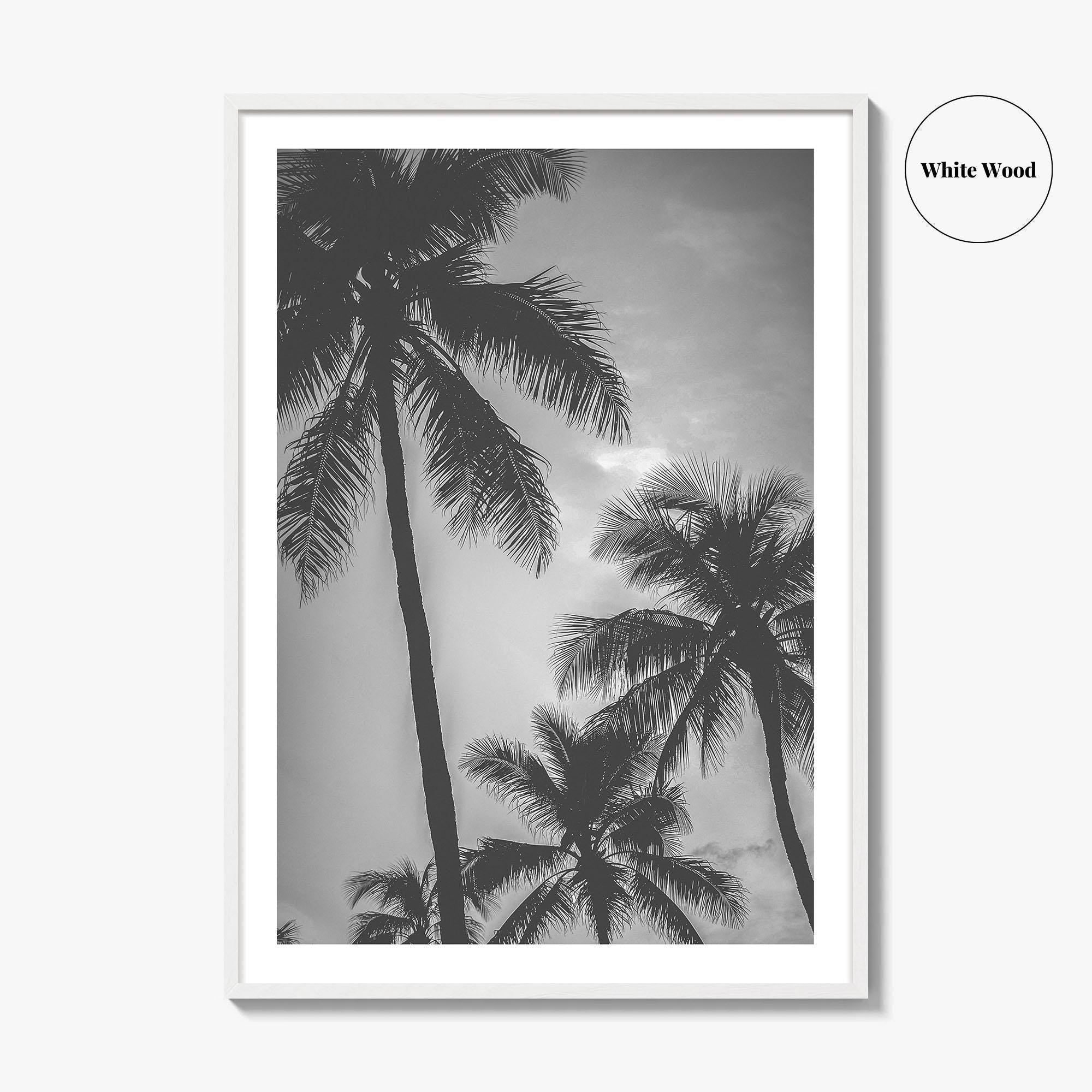 Hawaii Black and White Fine Art Photo Print, Palm Trees, Honolulu Oahu Art