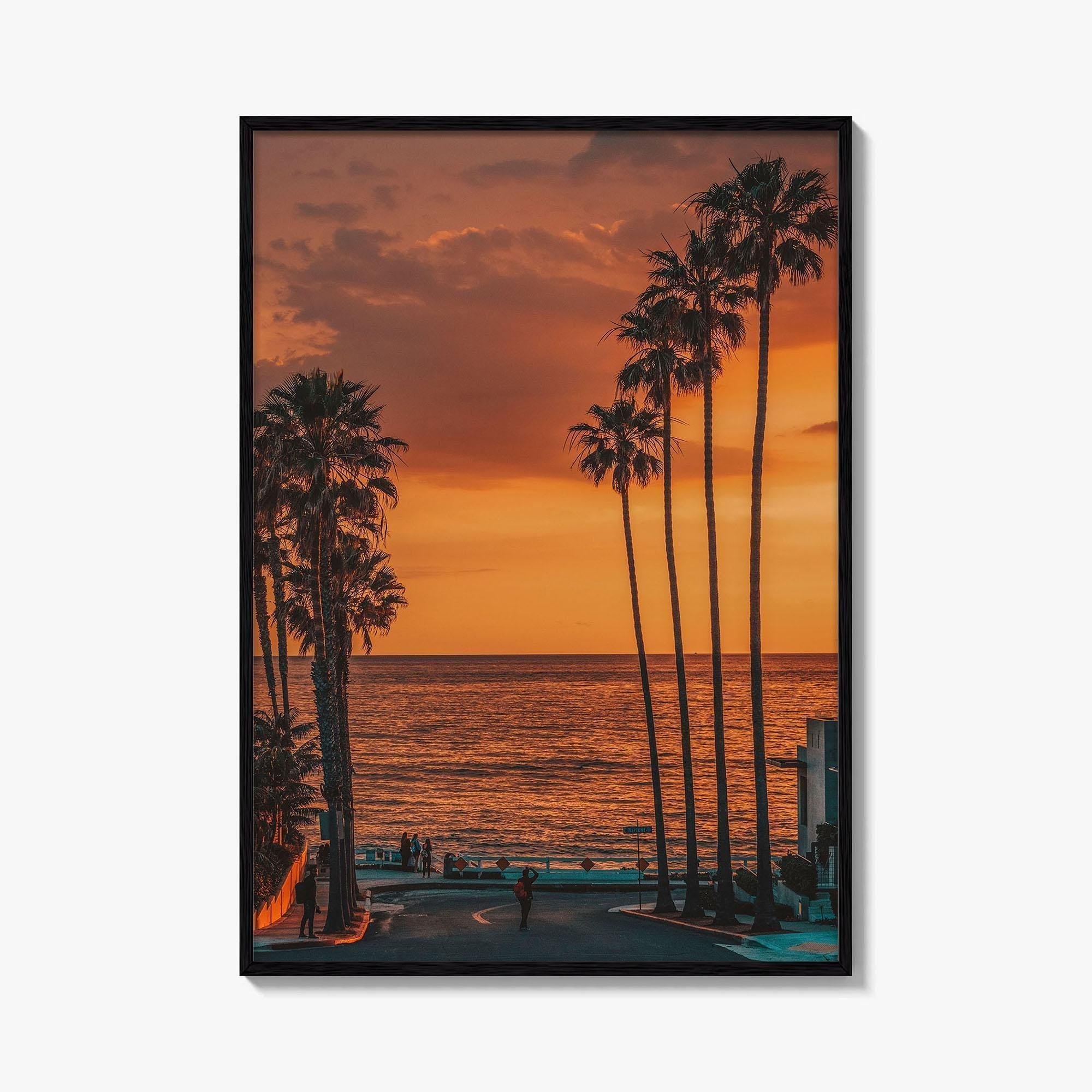 La Jolla Fine Art Photo Print, Windansea Beach, Palm Trees, San Diego California Poster