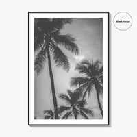 Hawaii Black and White Fine Art Photo Print, Palm Trees, Honolulu Oahu Art
