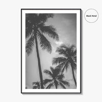 Hawaii Black and White Fine Art Photo Print, Palm Trees, Honolulu Oahu Art