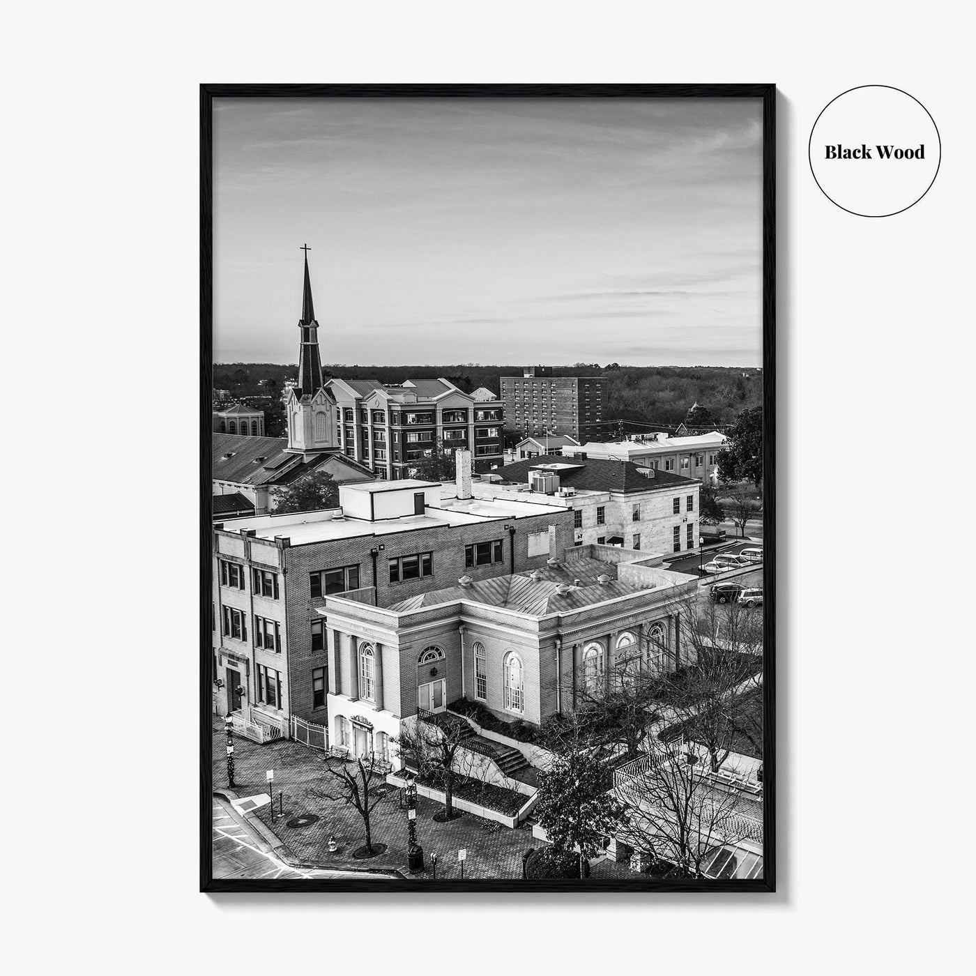 Athens Georgia Skyline Black and White Fine Art Photo Print, GA USA Poster