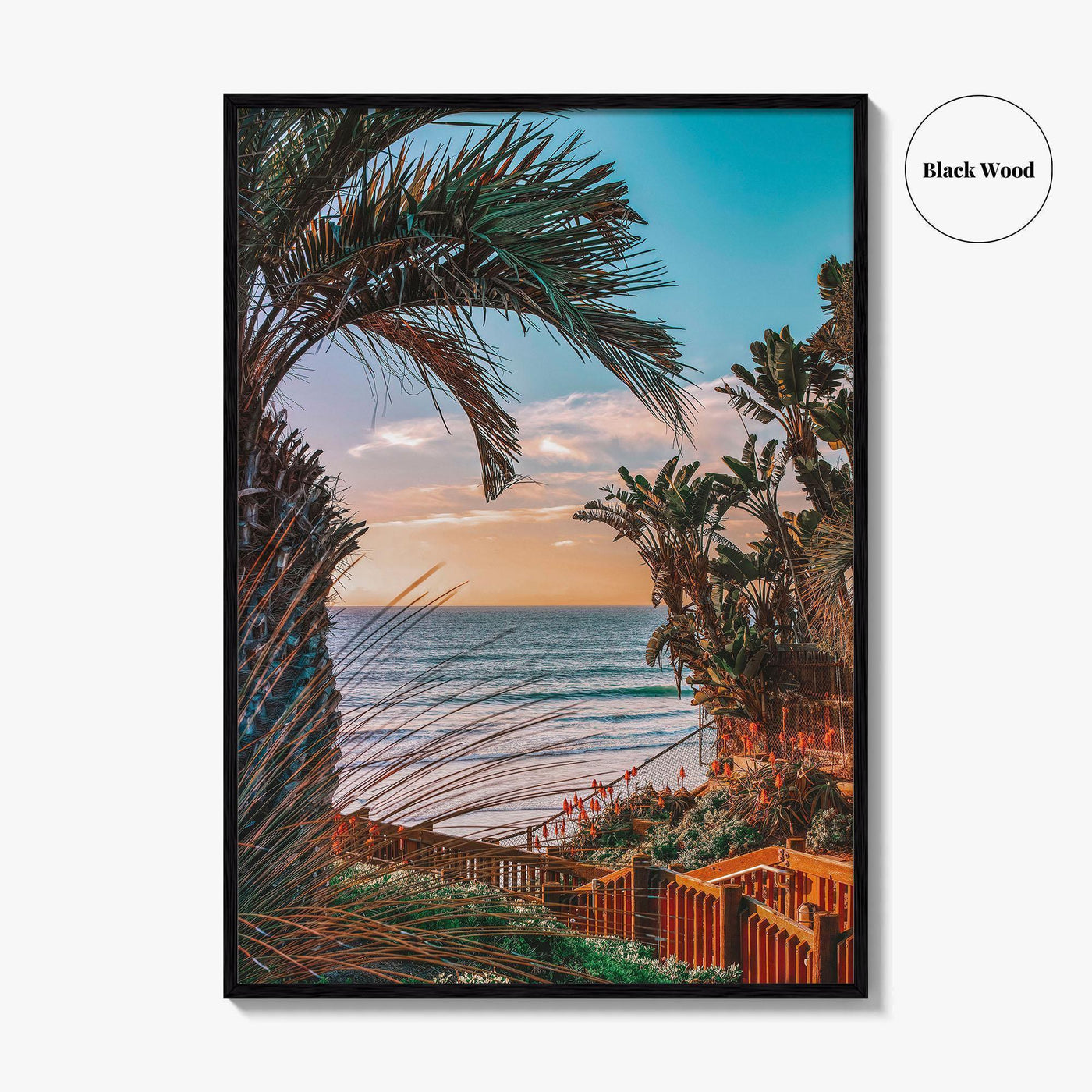 Encinitas Fine Art Photo Print, Pacific Ocean View, San Diego, California, USA, Poster