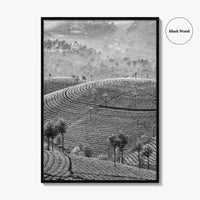 Munnar Black and White Fine Art Photo Print, Kerala India Tea Plantations Wall Poster