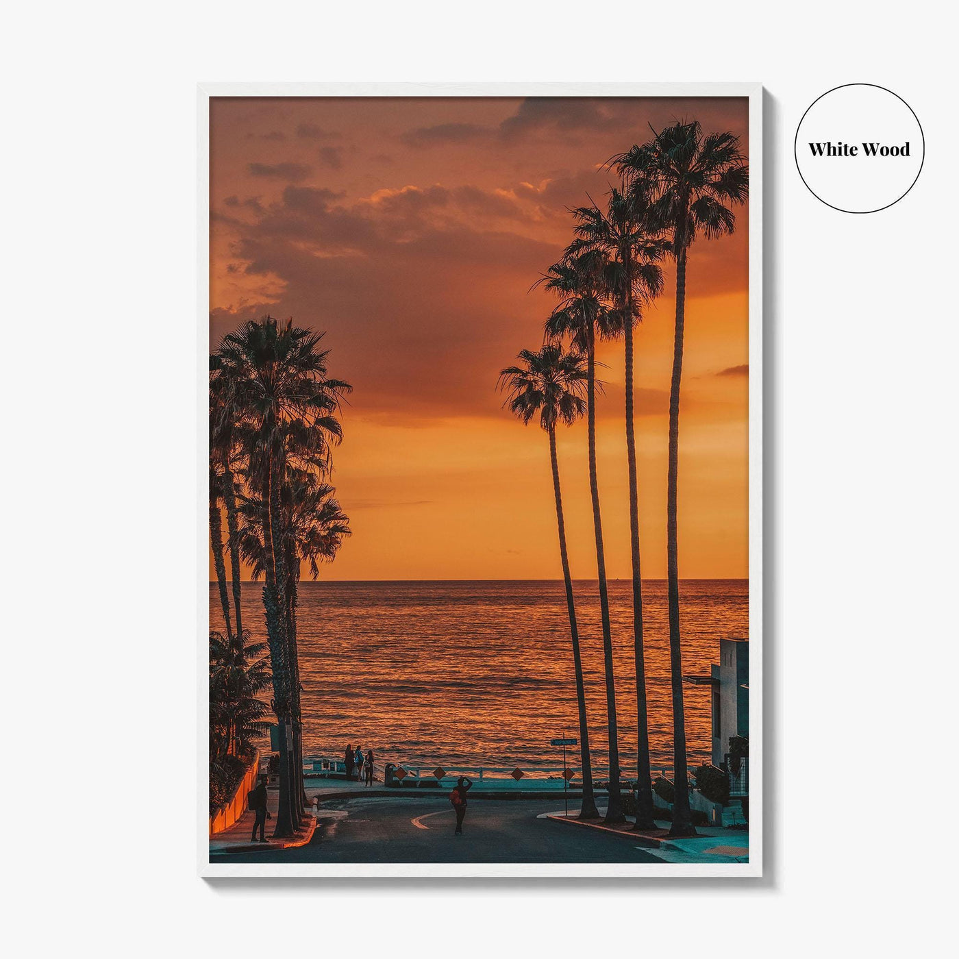 La Jolla Fine Art Photo Print, Windansea Beach, Palm Trees, San Diego California Poster