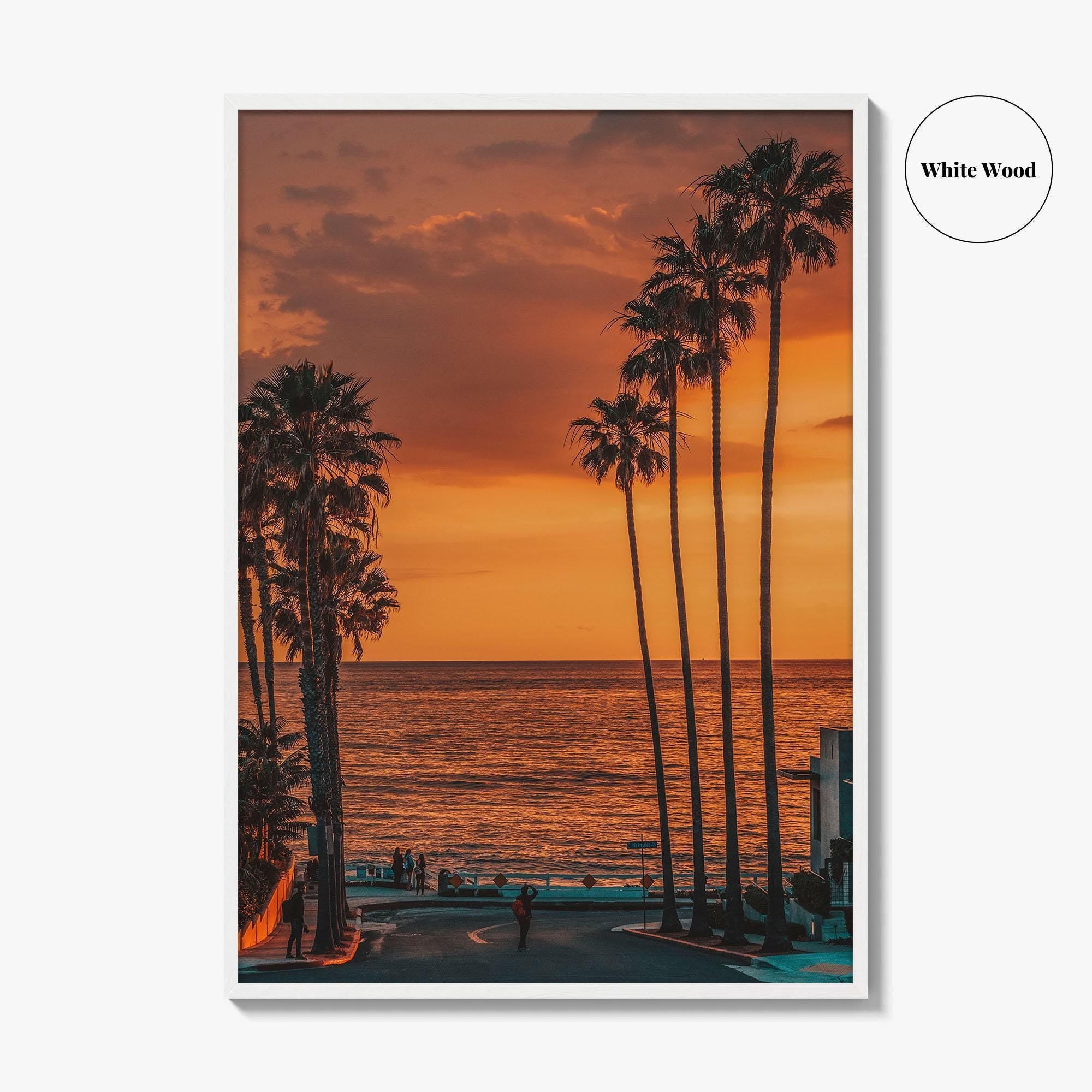 La Jolla Fine Art Photo Print, Windansea Beach, Palm Trees, San Diego California Poster
