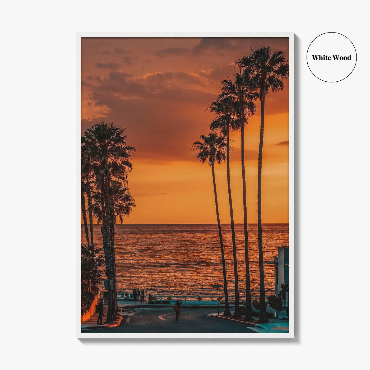 La Jolla Fine Art Photo Print, Windansea Beach, Palm Trees, San Diego California Poster