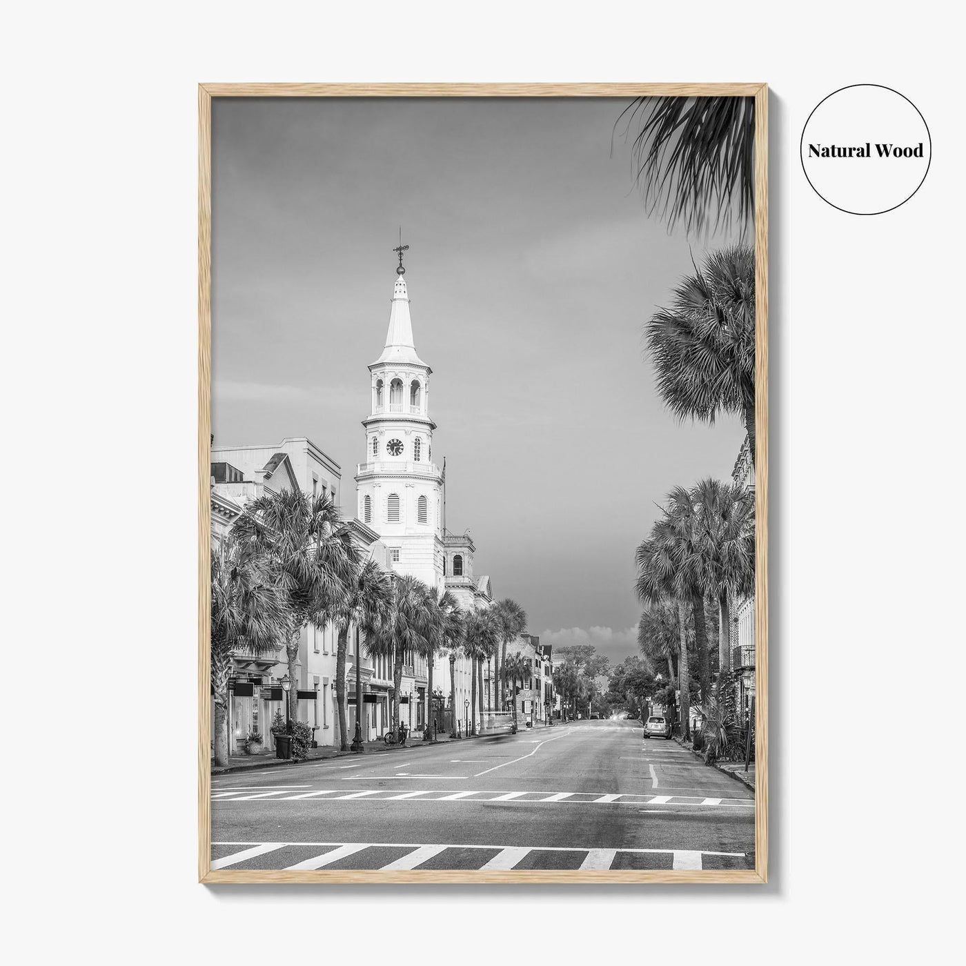 Charleston Black and White Fine Art Photo Print, SC Wall Poster, USA, French Quarter
