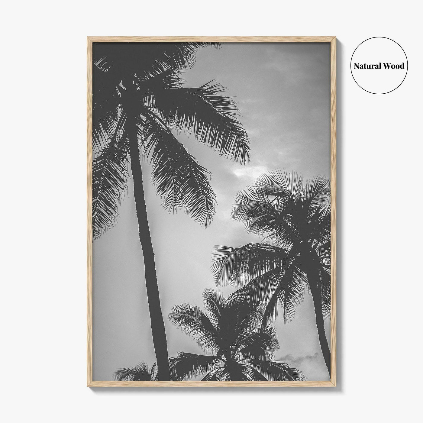 Hawaii Black and White Fine Art Photo Print, Palm Trees, Honolulu Oahu Art