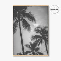 Hawaii Black and White Fine Art Photo Print, Palm Trees, Honolulu Oahu Art