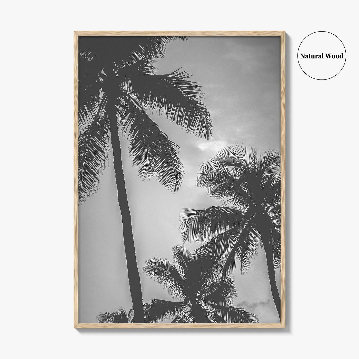 Hawaii Black and White Fine Art Photo Print, Palm Trees, Honolulu Oahu Art