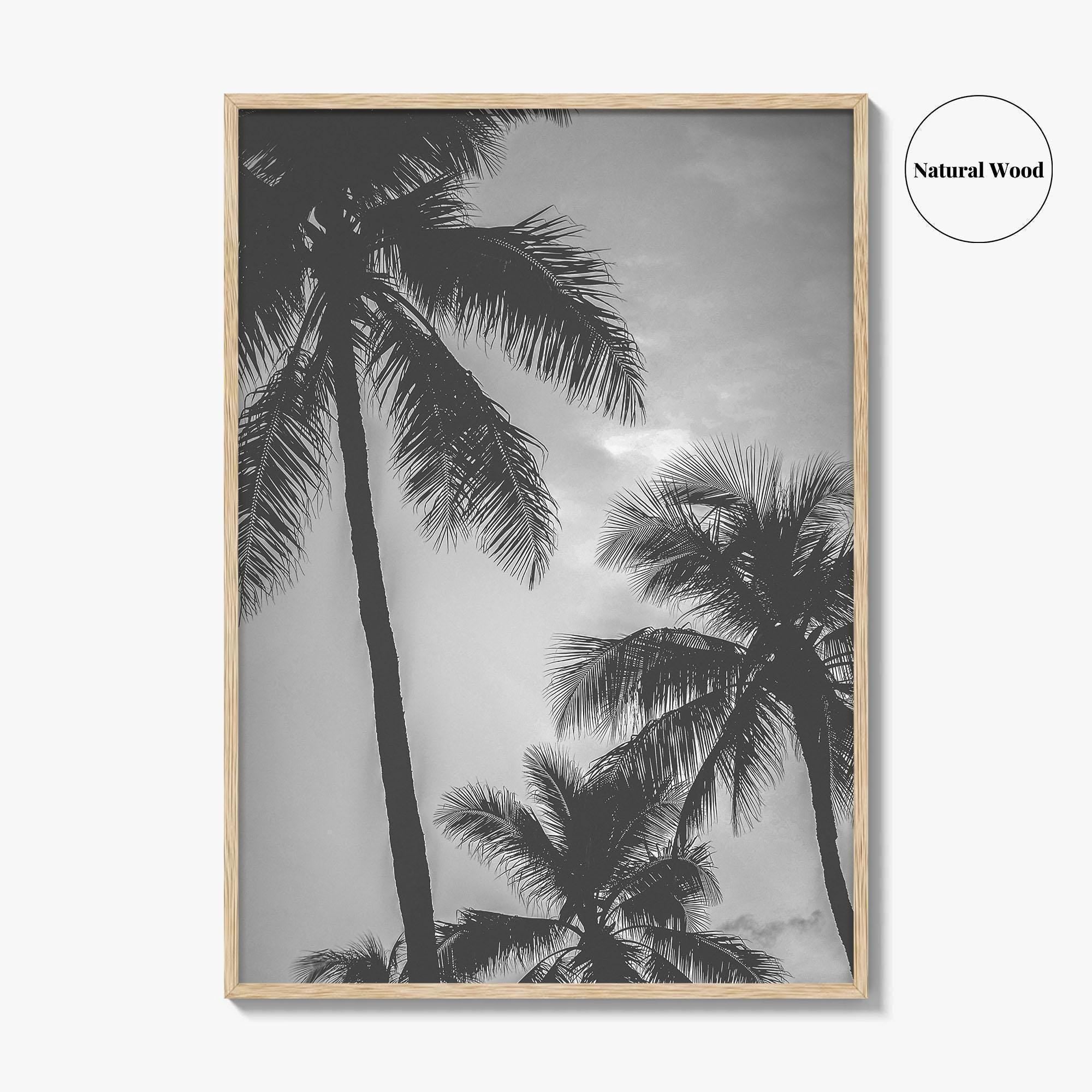Hawaii Black and White Fine Art Photo Print, Palm Trees, Honolulu Oahu Art