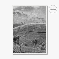 Munnar Black and White Fine Art Photo Print, Kerala India Tea Plantations Wall Poster