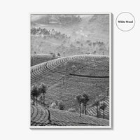 Munnar Black and White Fine Art Photo Print, Kerala India Tea Plantations Wall Poster