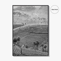 Munnar Black and White Fine Art Photo Print, Kerala India Tea Plantations Wall Poster