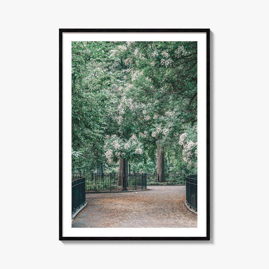 Tompkins Square Park Fine Art Photo Print, East Village NYC, Manhattan Poster, USA