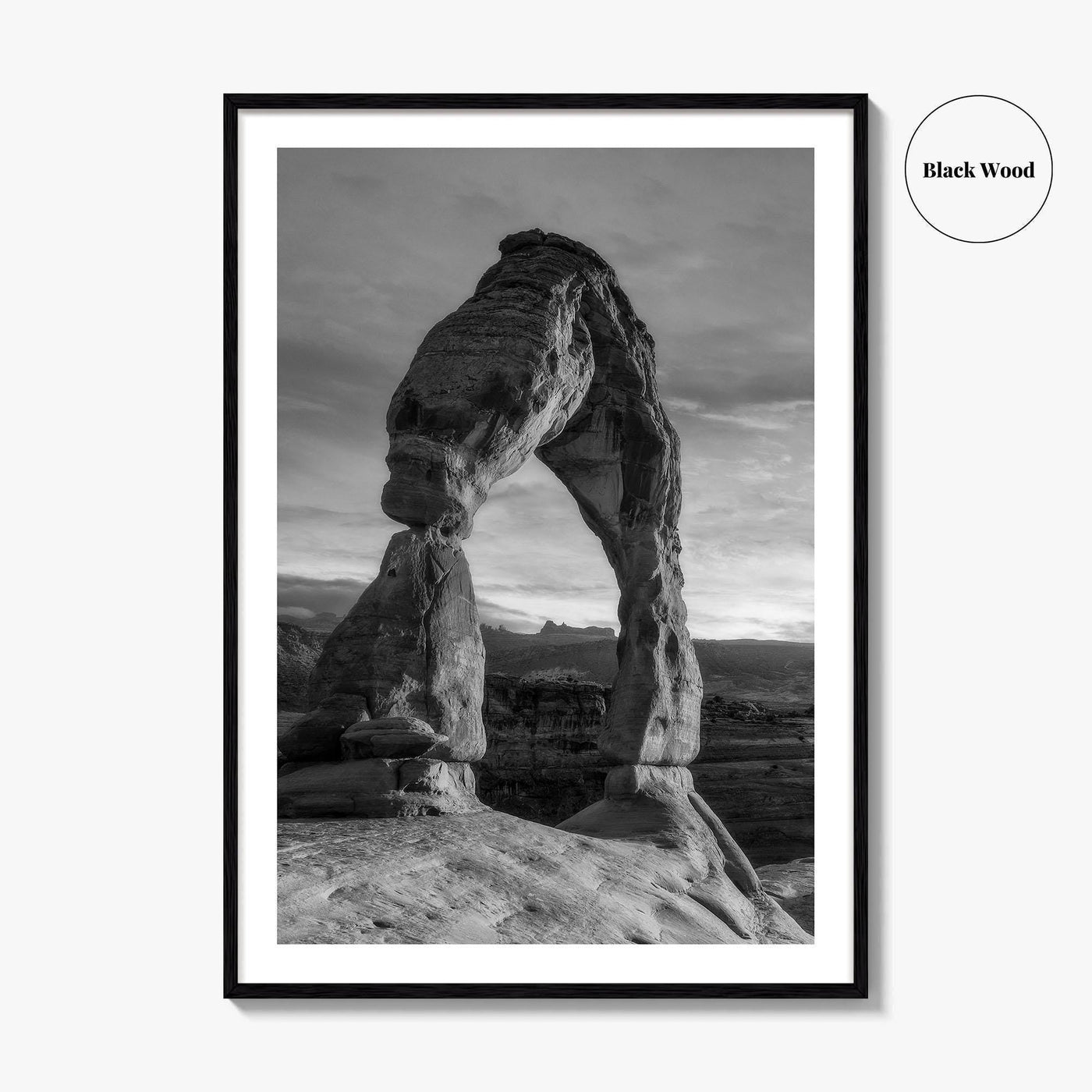 Delicate Arch Black and White Fine Art Photo Print, Arches National Park, Wall Poster