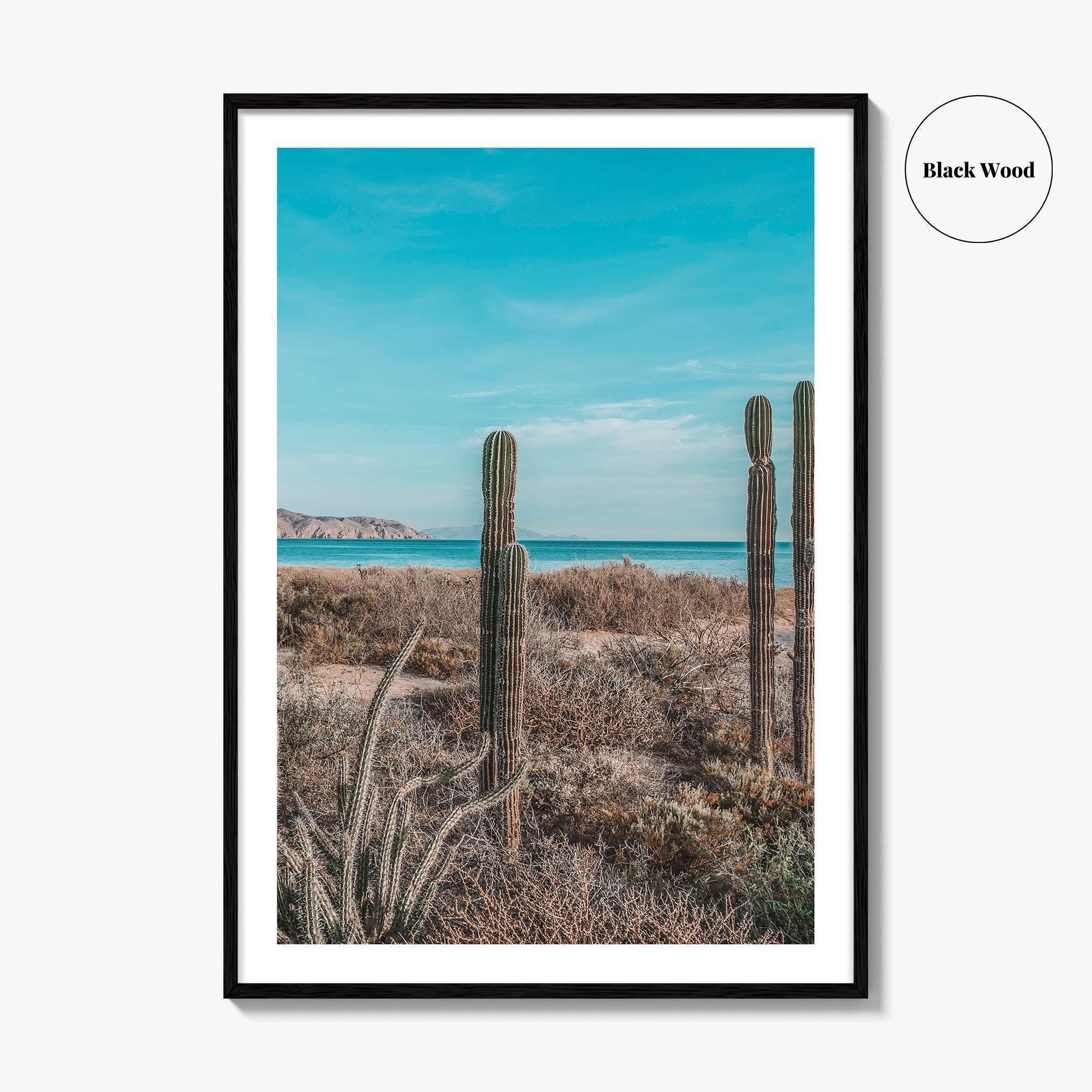 La Paz Fine Art Photo Print, Baja California Sur, Sea of Cortez Mexico Poster