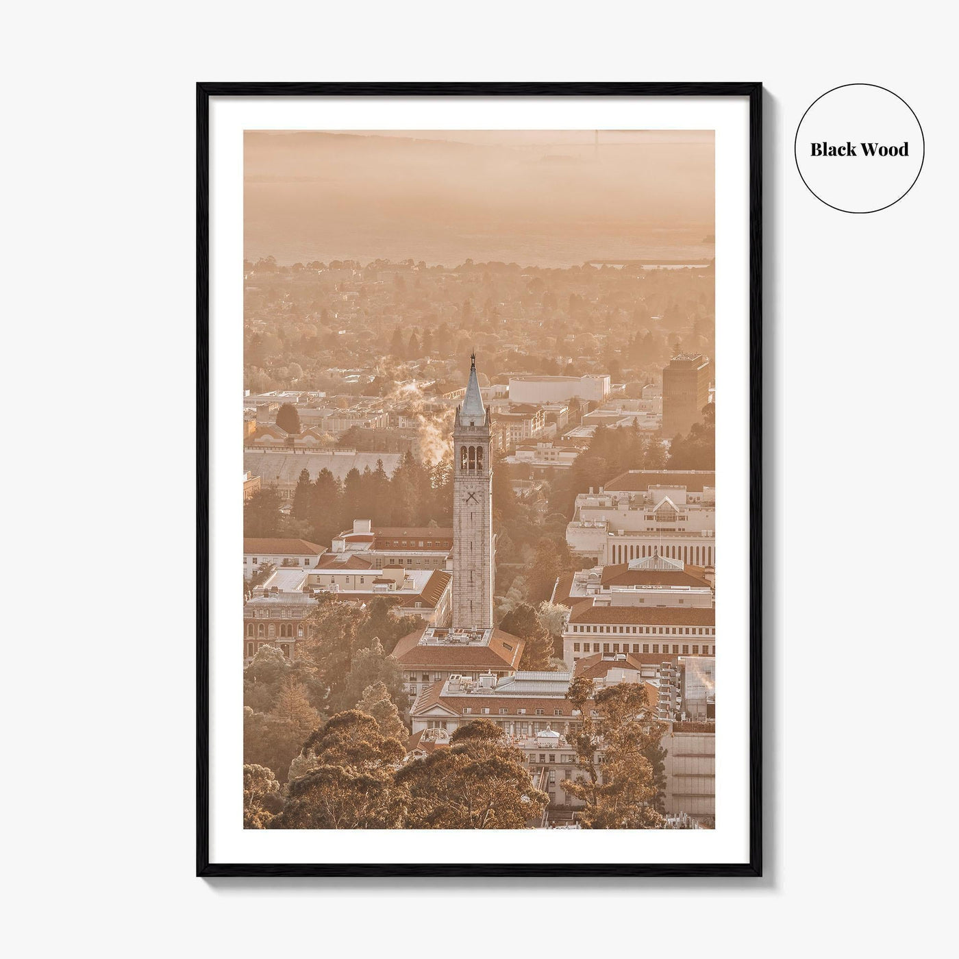 Berkeley Fine Art Photo Print, UC Berkeley Landscape, California Wall Decor Poster