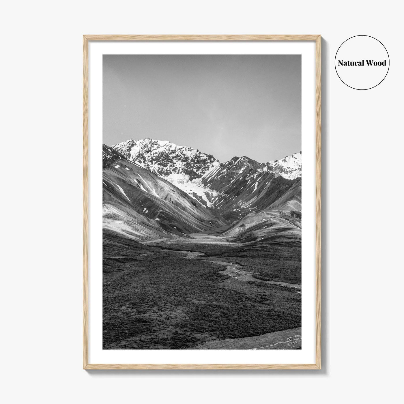 Denali National Park Black and White Fine Art Photo Print, Alaska, USA Poster