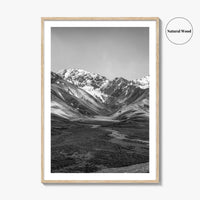 Denali National Park Black and White Fine Art Photo Print, Alaska, USA Poster