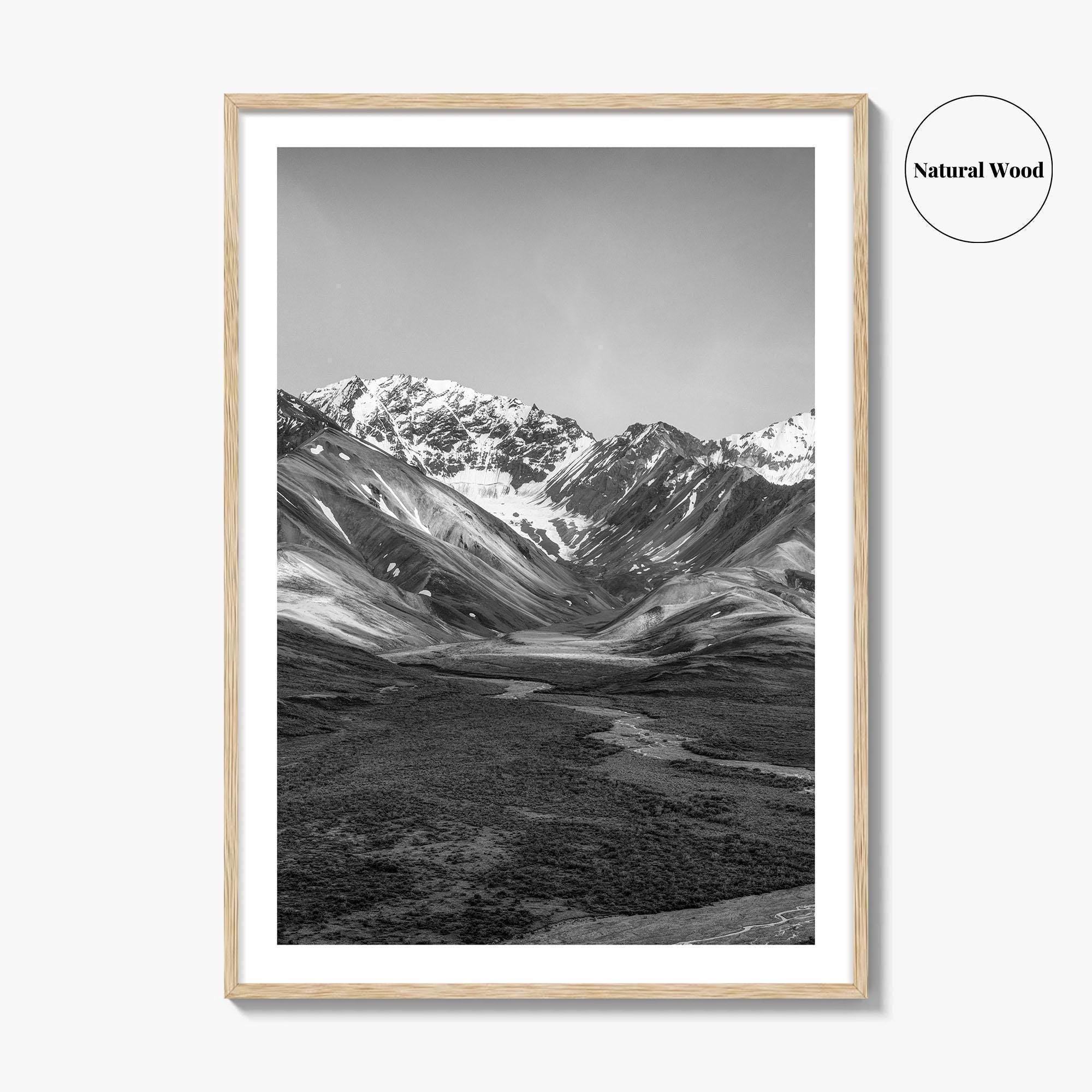 Denali National Park Black and White Fine Art Photo Print, Alaska, USA Poster