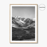 Denali National Park Black and White Fine Art Photo Print, Alaska, USA Poster