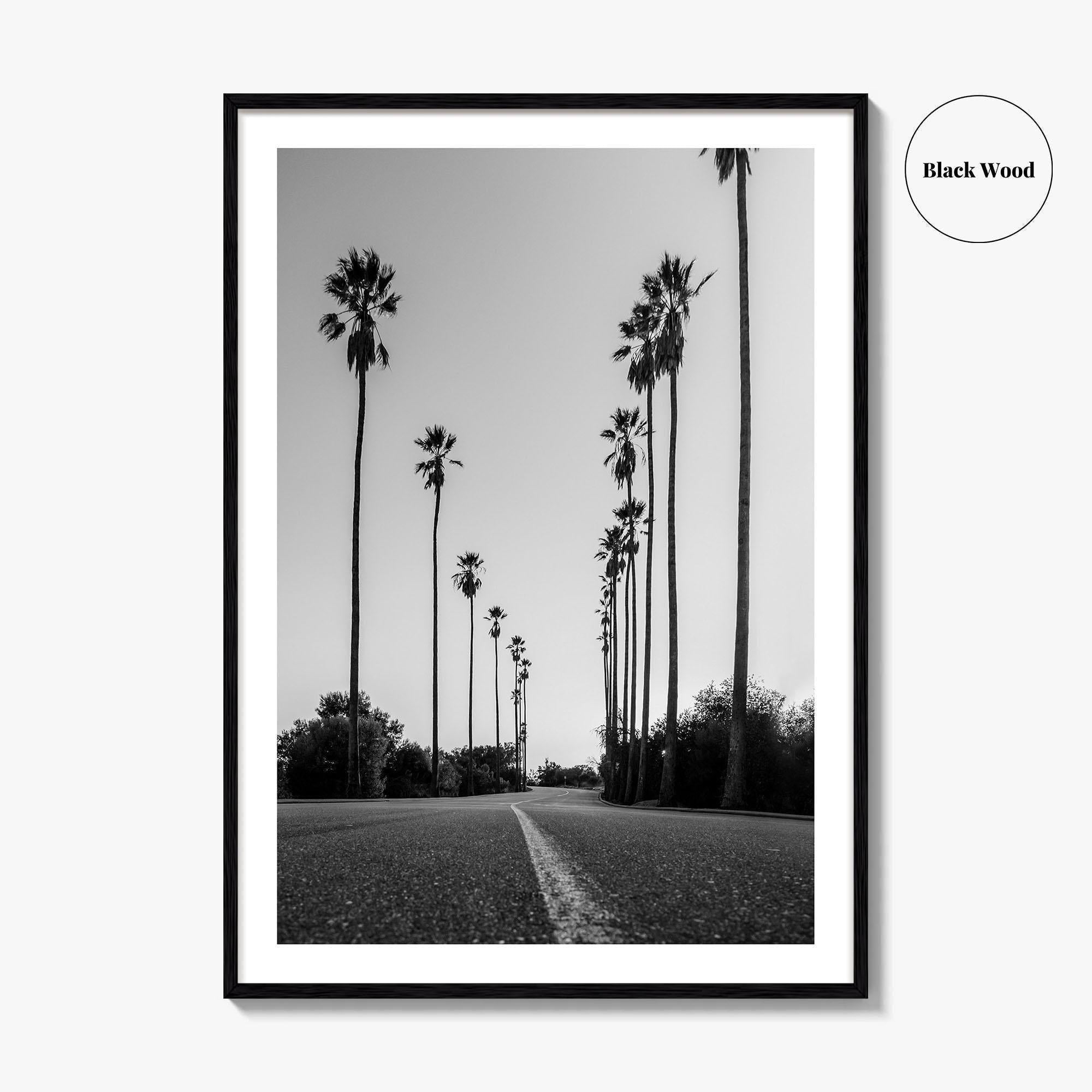 Elysian Park Black and White Fine Art Photo Print, Los Angeles California Poster