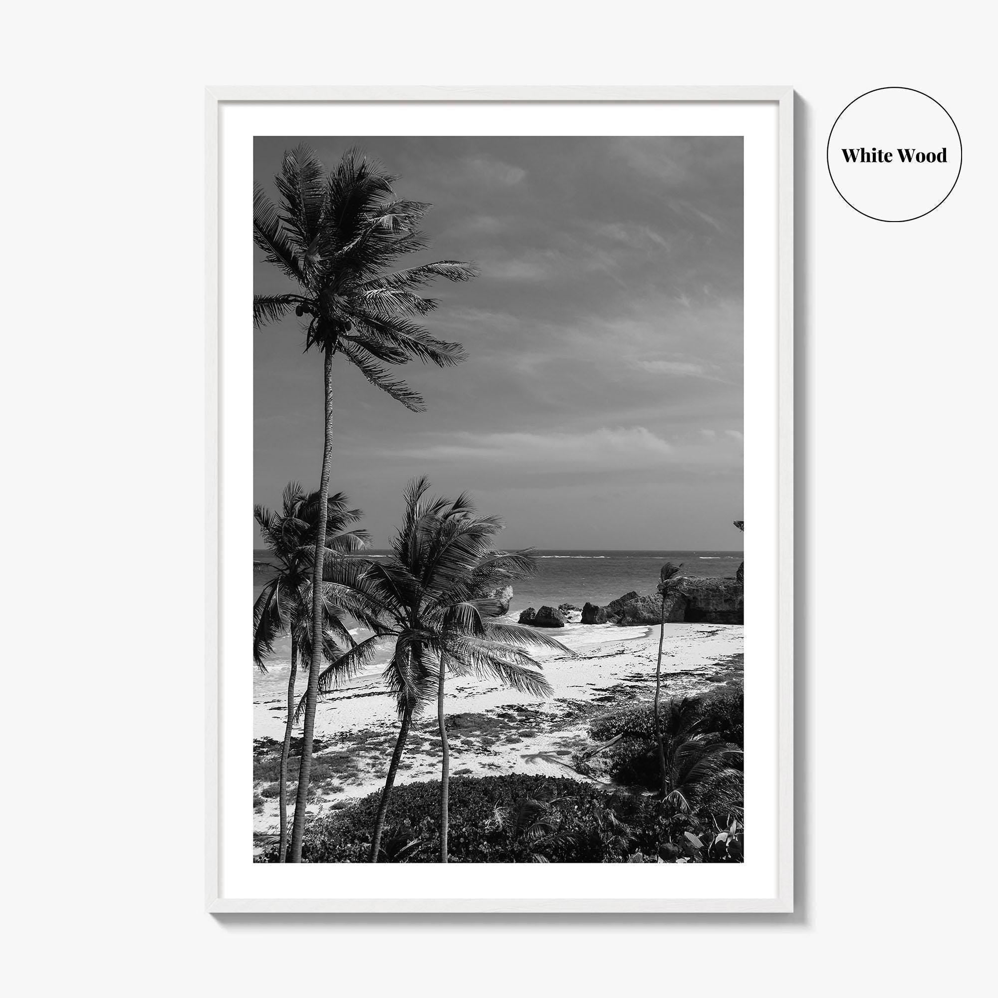 Barbados Black and White Fine Art Photo Print, Caribbean Beach Landscape Poster