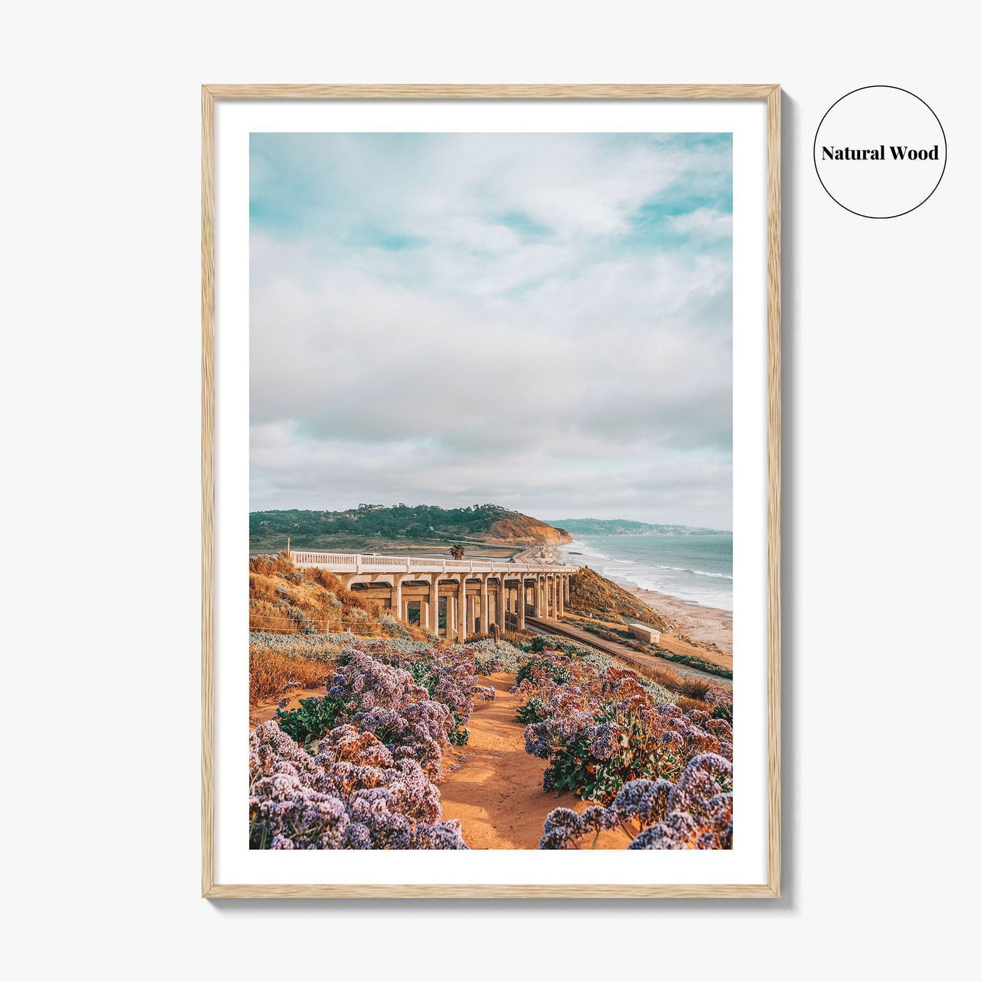 Torrey Pines Fine Art Photo Print, Del Mar, San Diego, California, Pacific Ocean Poster