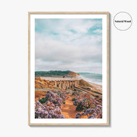 Torrey Pines Fine Art Photo Print, Del Mar, San Diego, California, Pacific Ocean Poster