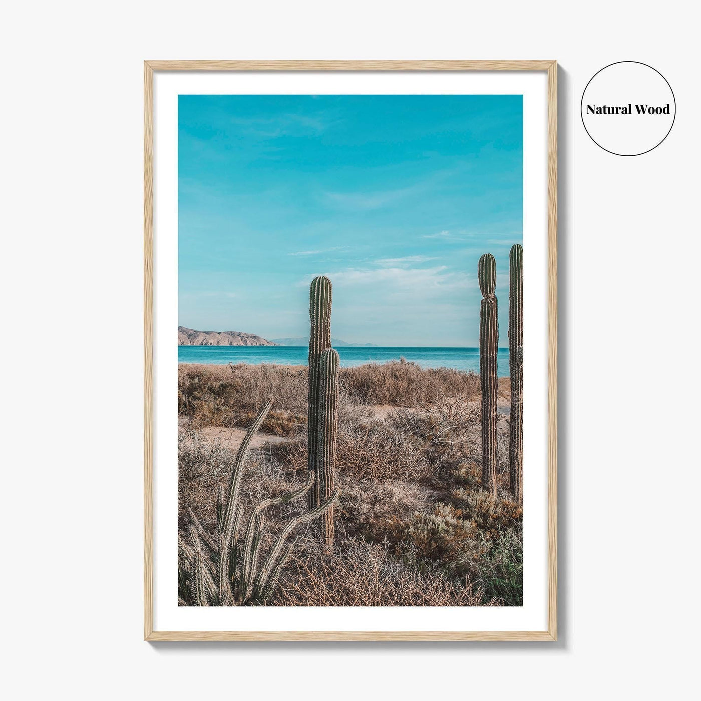 La Paz Fine Art Photo Print, Baja California Sur, Sea of Cortez Mexico Poster
