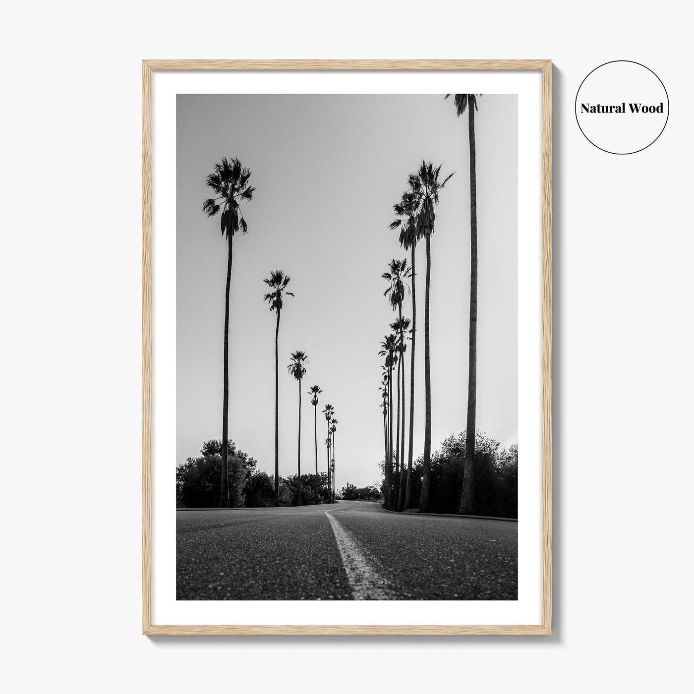 Elysian Park Black and White Fine Art Photo Print, Los Angeles California Poster