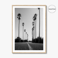 Elysian Park Black and White Fine Art Photo Print, Los Angeles California Poster