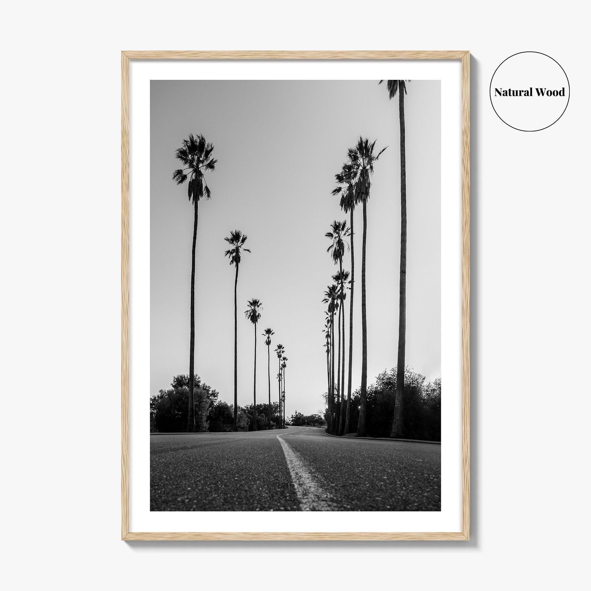Elysian Park Black and White Fine Art Photo Print, Los Angeles California Poster