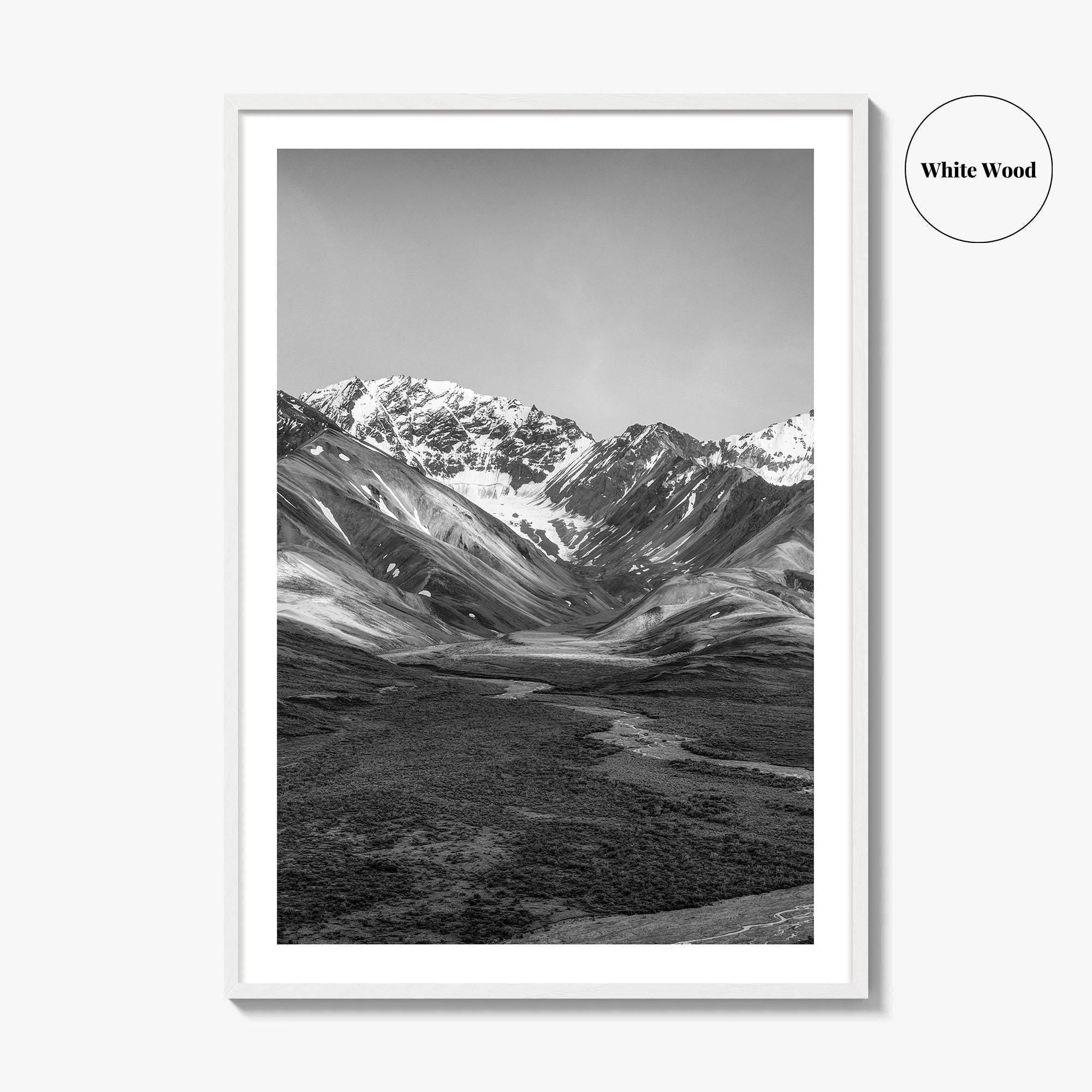 Denali National Park Black and White Fine Art Photo Print, Alaska, USA Poster