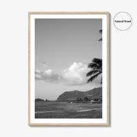 Oahu Black and White Fine Art Photo Print, Hawaii Coast Palm Trees, Wall Poster