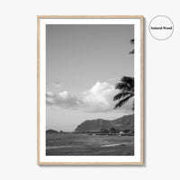 Oahu Black and White Fine Art Photo Print, Hawaii Coast Palm Trees, Wall Poster